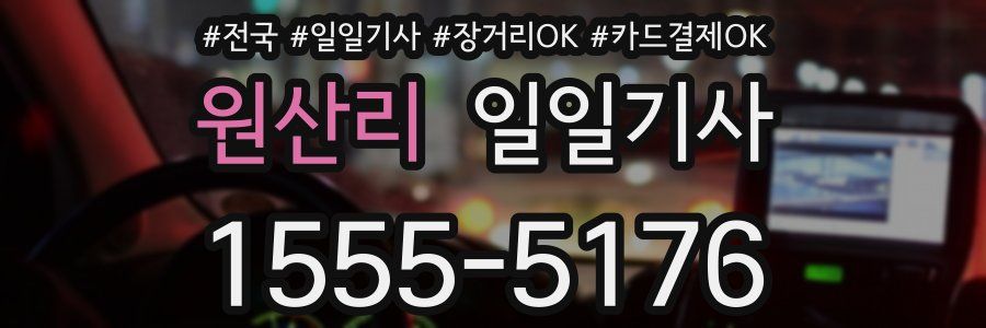 원산리 일일기사