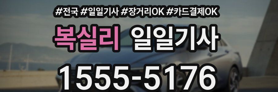 복실리 일일기사