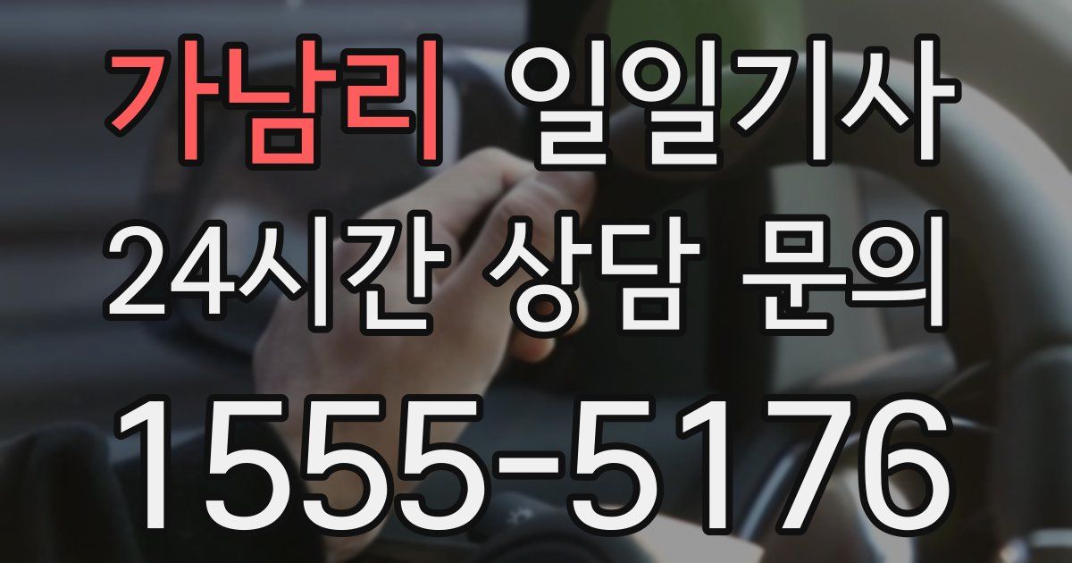 일일대리기사