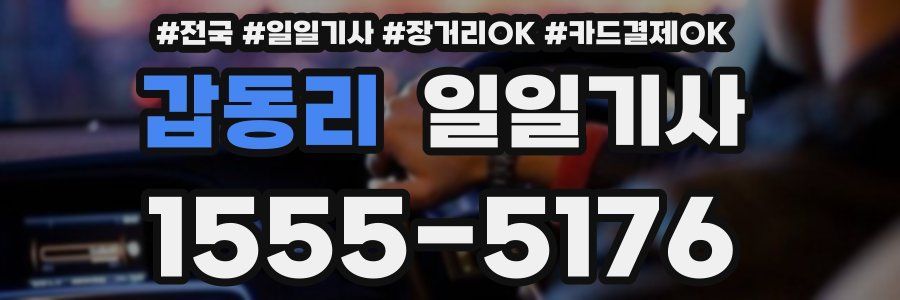 갑동리 일일기사