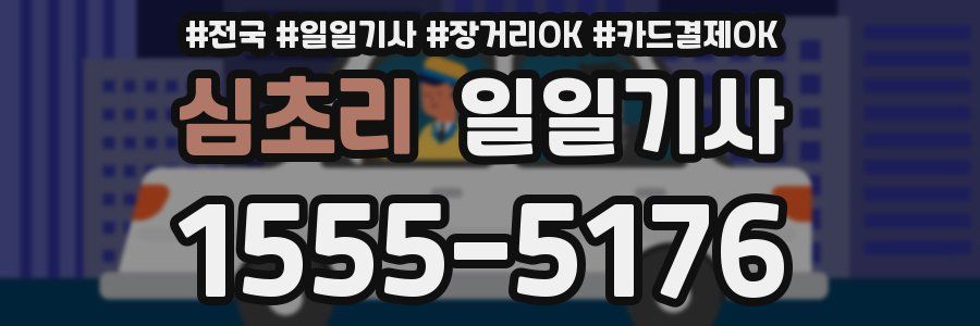 심초리 일일기사