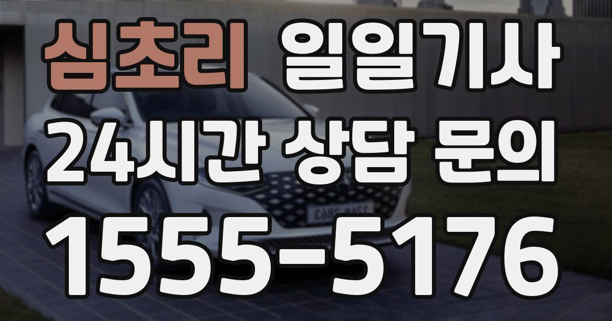 일일대리기사