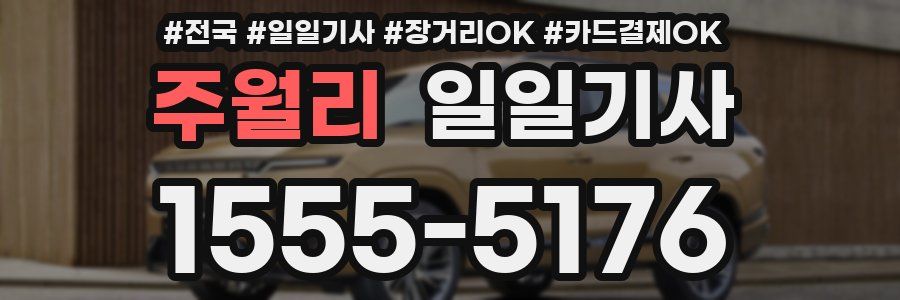 주월리 일일기사