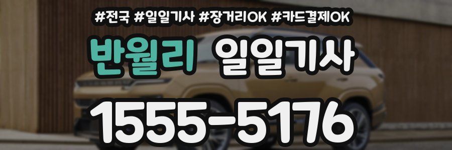 반월리 일일기사