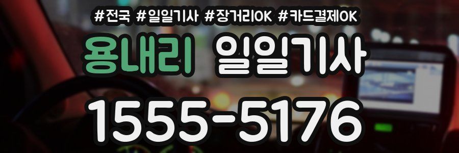 용내리 일일기사