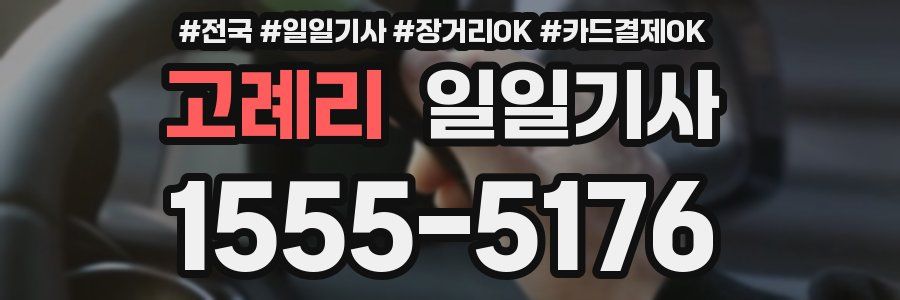 고례리 일일기사