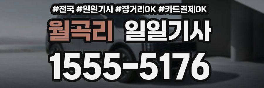 월곡리 일일기사