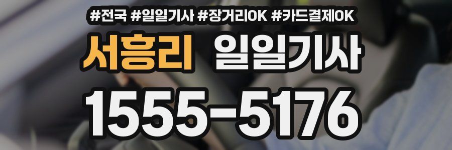 서흥리 일일기사