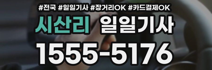 시산리 일일기사