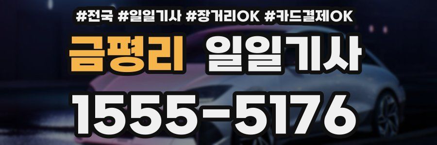 금평리 일일기사