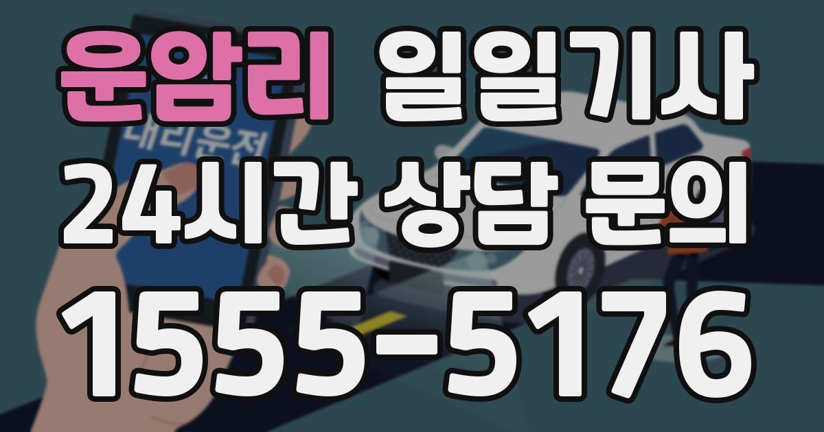일일대리기사