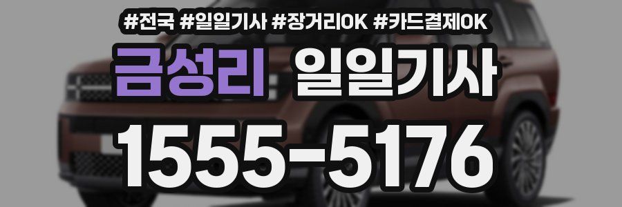 금성리 일일기사