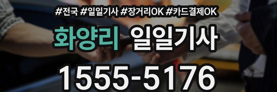 화양리 일일기사