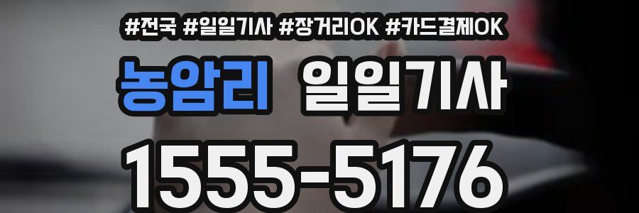 농암리 일일기사