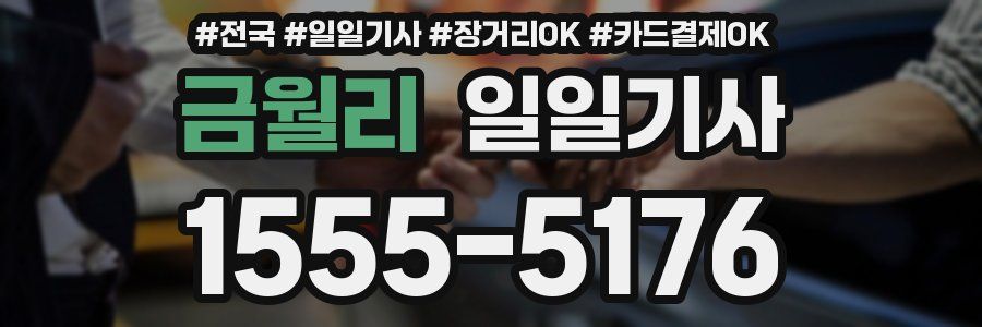 금월리 일일기사