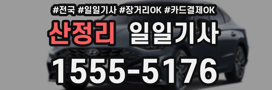 산정리 일일기사