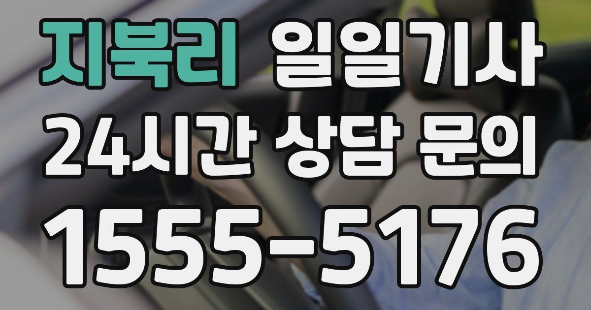 일일대리기사