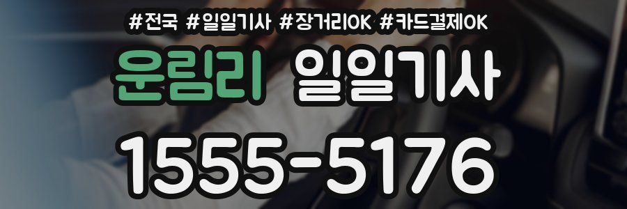 운림리 일일기사