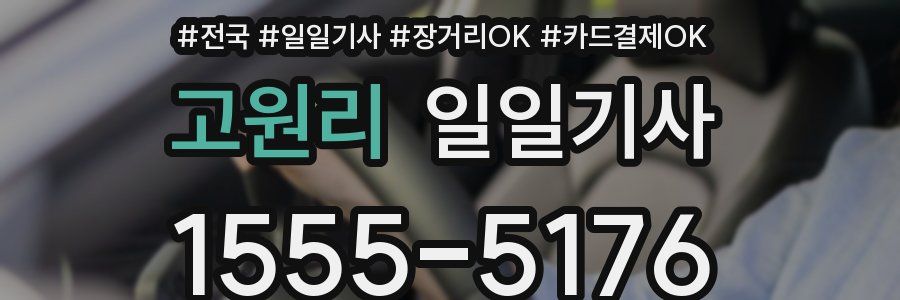 고원리 일일기사