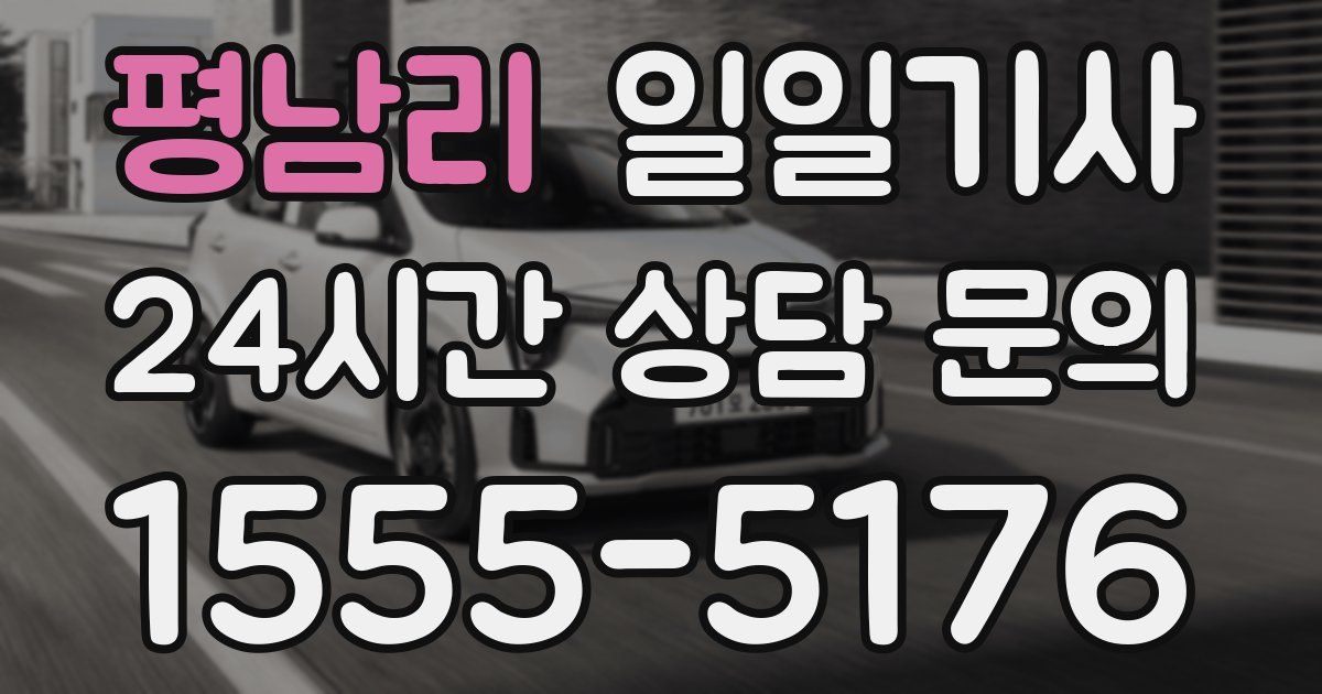 일일대리기사
