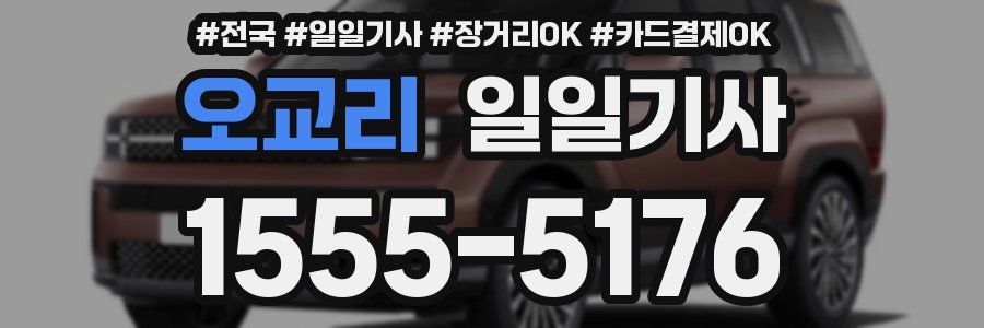 오교리 일일기사