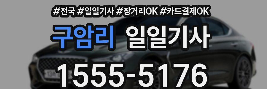 구암리 일일기사
