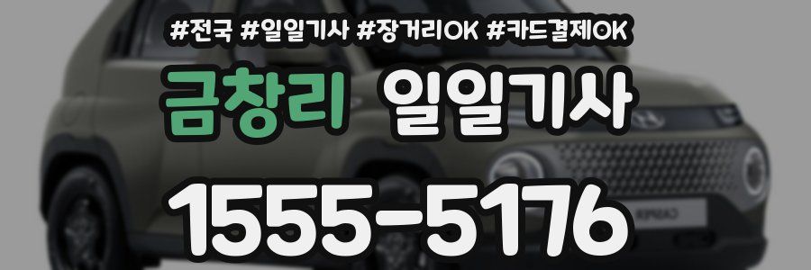 금창리 일일기사