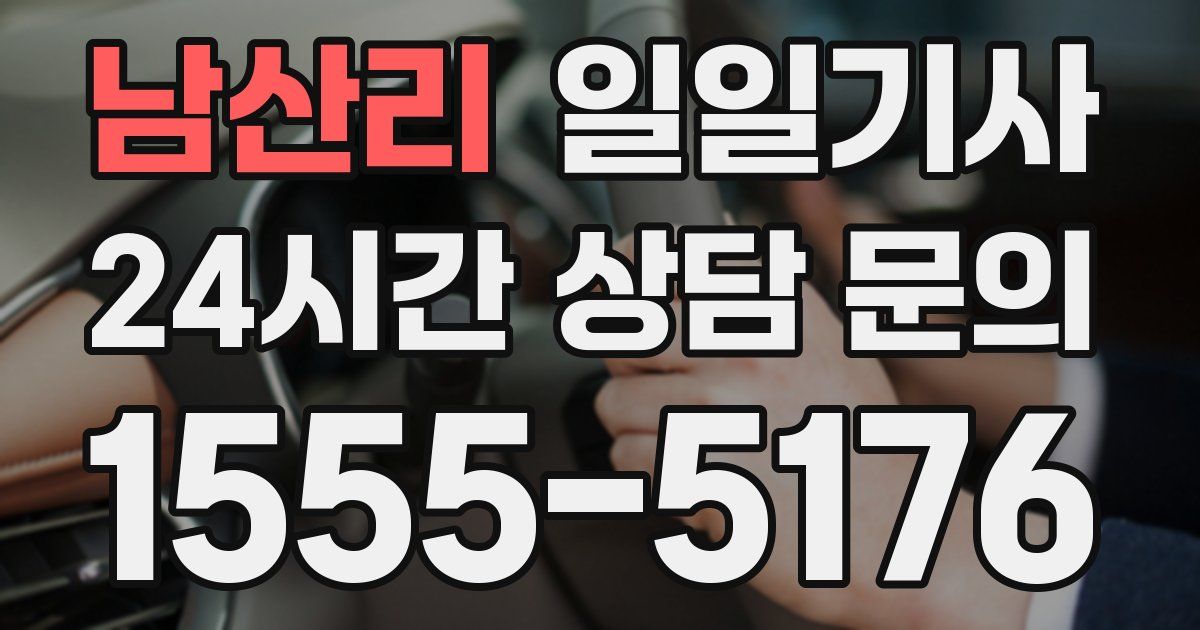 일일대리기사