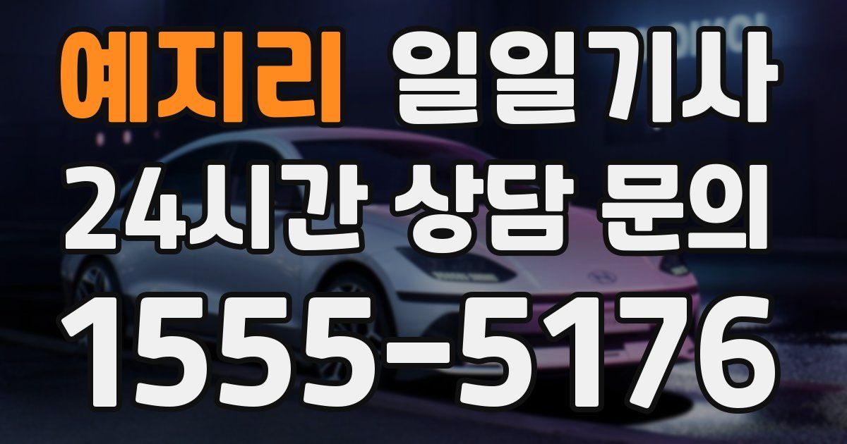 일일대리기사