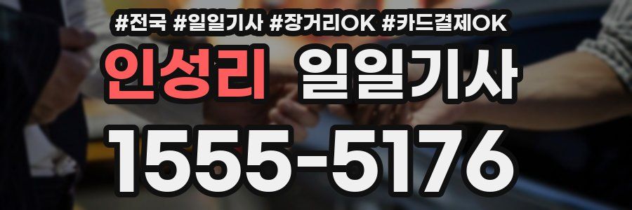 인성리 일일기사