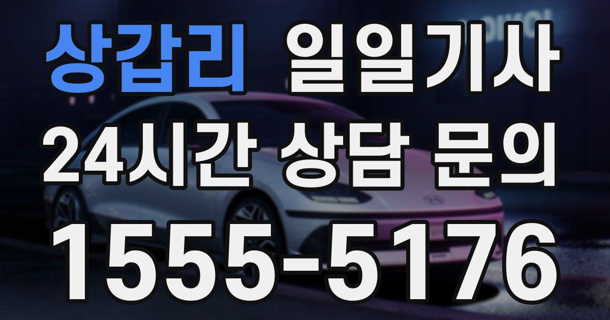 일일대리기사