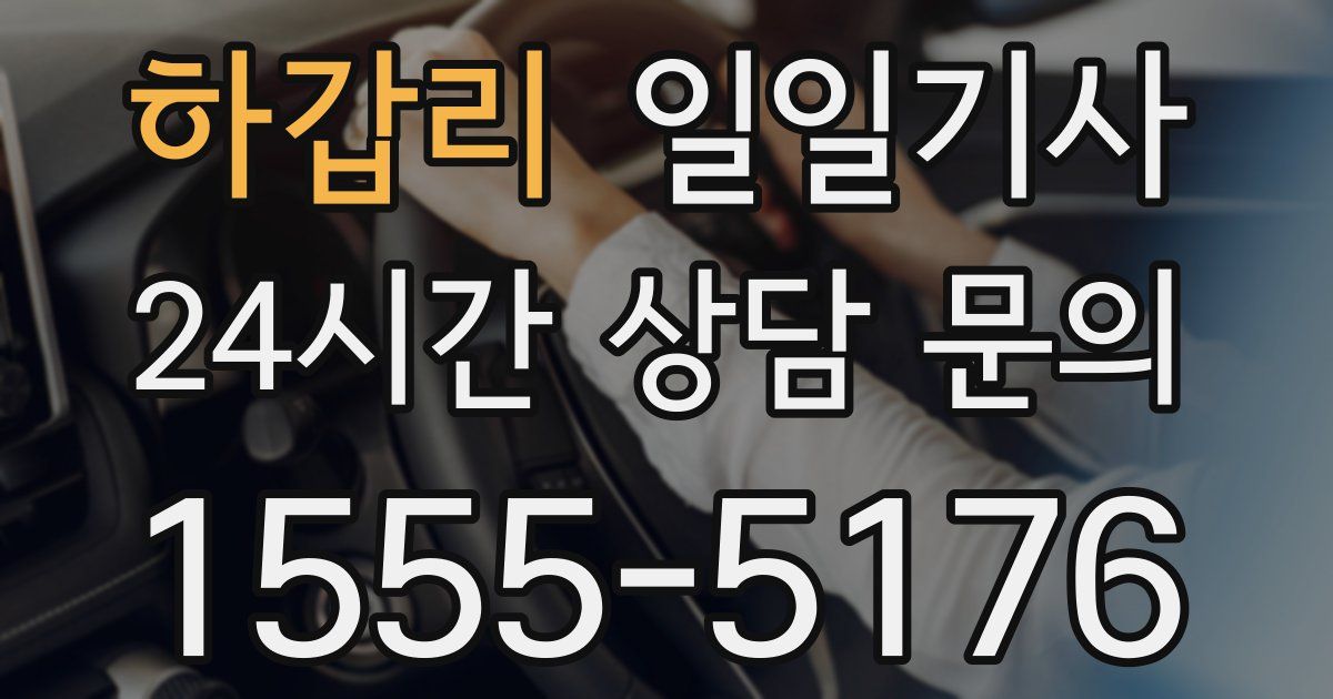일일대리기사
