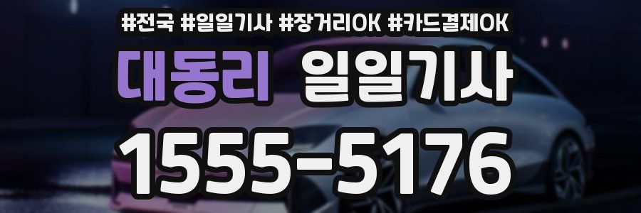 대동리 일일기사