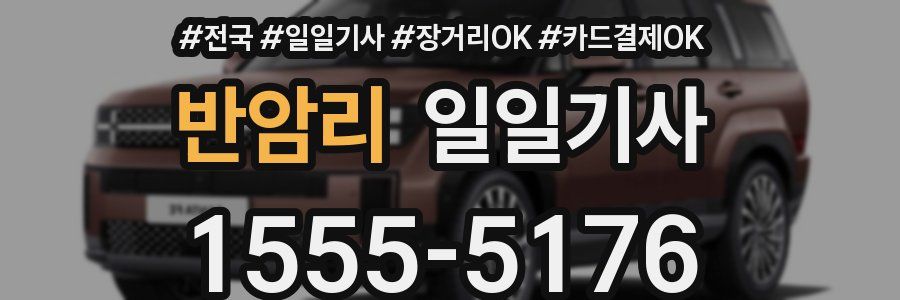 반암리 일일기사