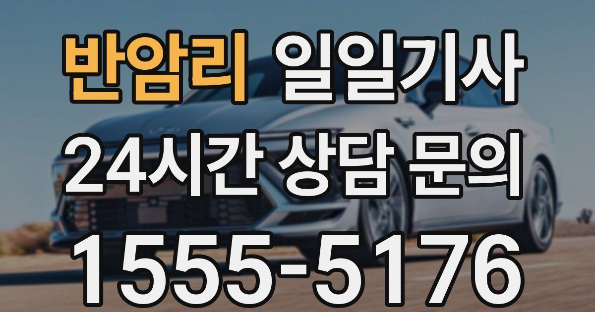 일일대리기사