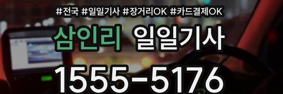 삼인리 일일기사