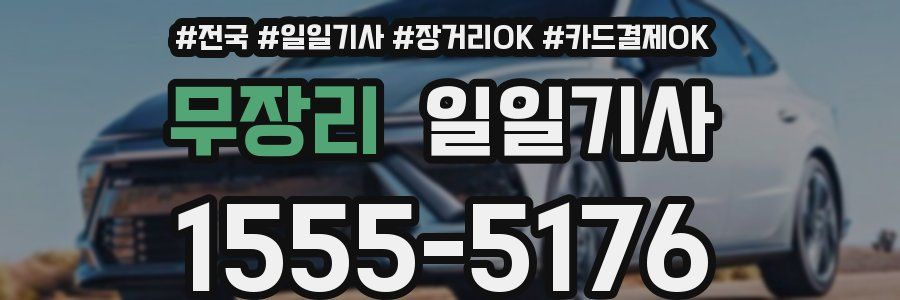 무장리 일일기사