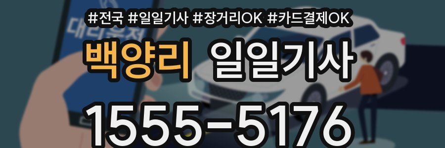 백양리 일일기사