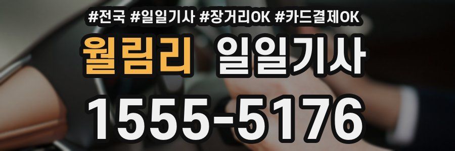 월림리 일일기사