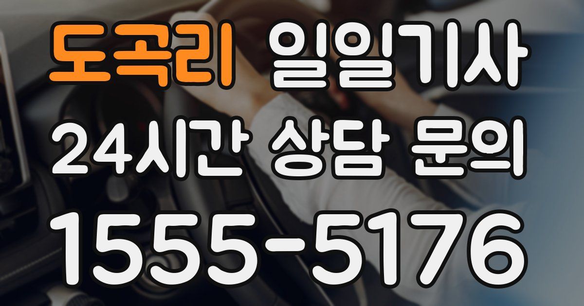 일일대리기사