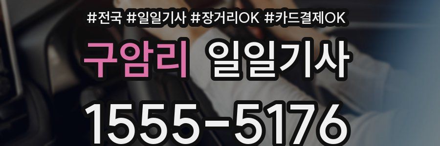 구암리 일일기사