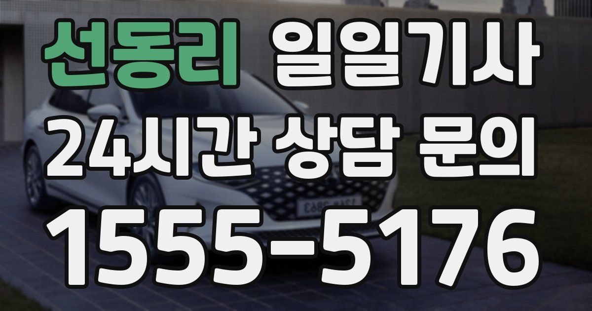 일일대리기사