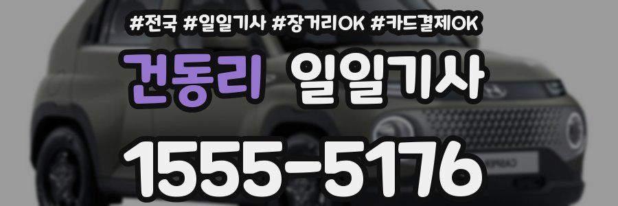 건동리 일일기사