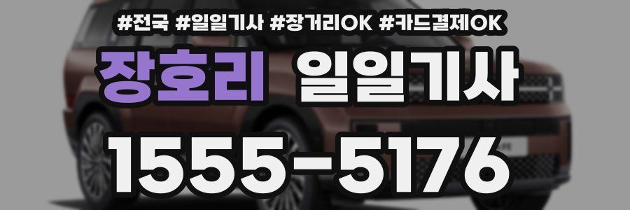 장호리 일일기사