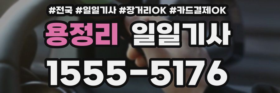 용정리 일일기사