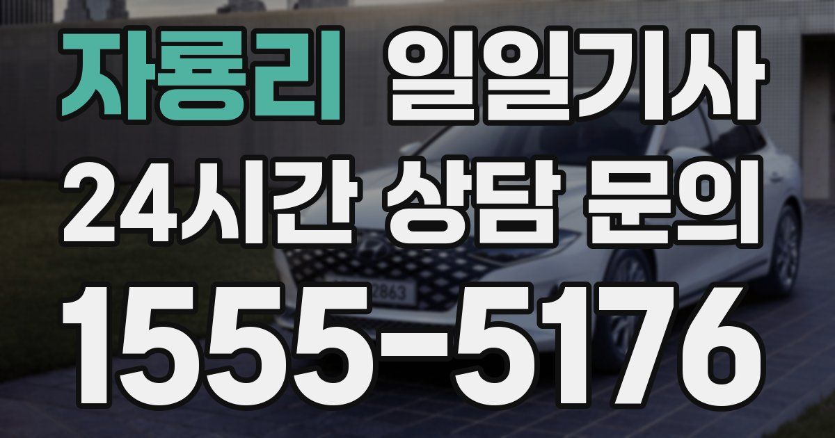 일일대리기사