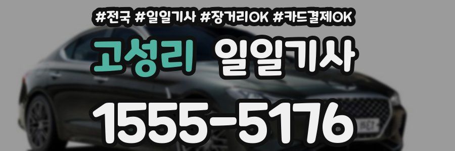 고성리 일일기사