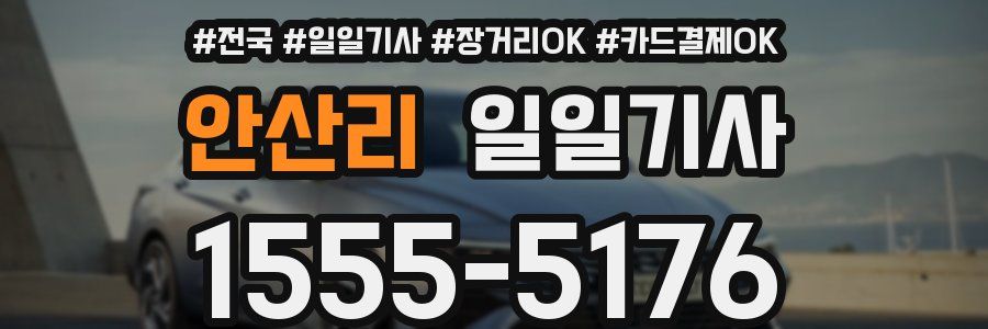 안산리 일일기사