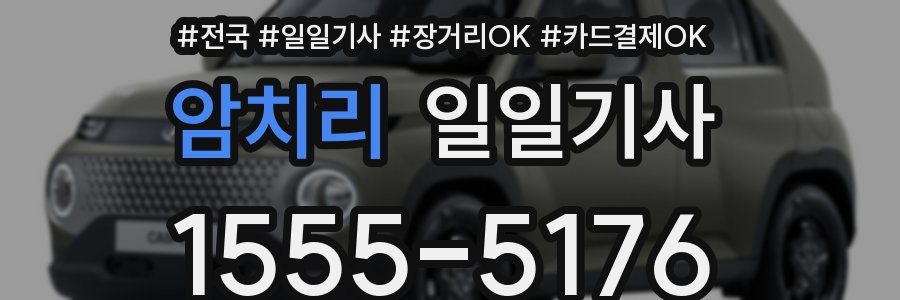 암치리 일일기사