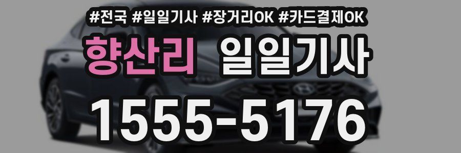향산리 일일기사